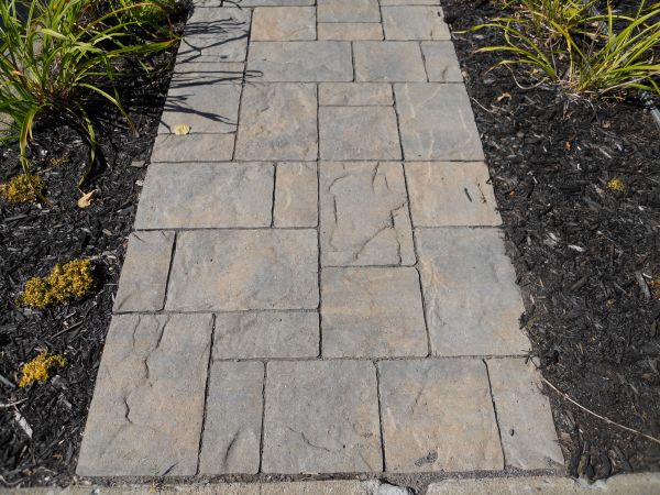 Cost of Stamped Concrete Staining in Escondido