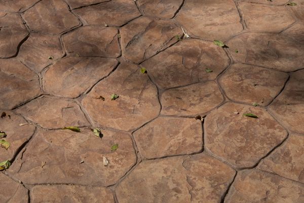 Cost of Concrete Texturing in Escondido