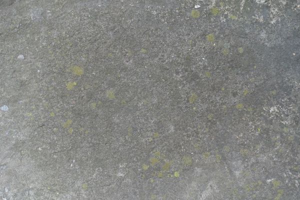 Cost of Slab Staining Service in Escondido